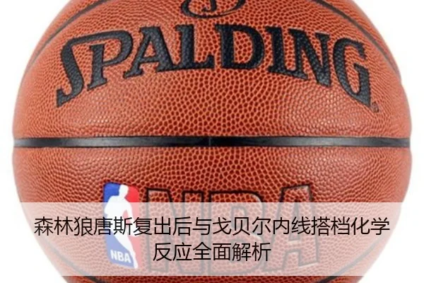 森林狼唐斯复出后与戈贝尔内线搭档化学反应全面解析
