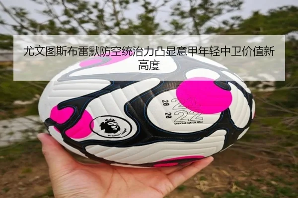 尤文图斯布雷默防空统治力凸显意甲年轻中卫价值新高度