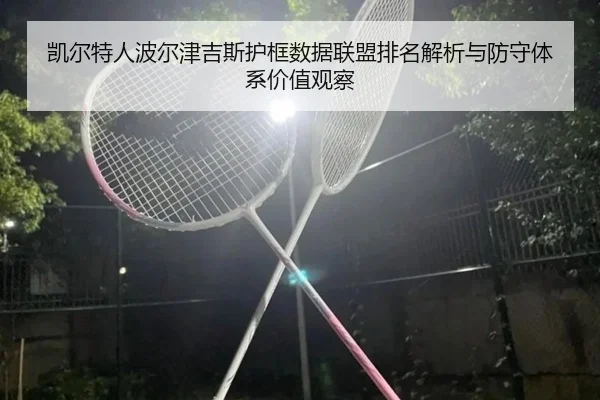 凯尔特人波尔津吉斯护框数据联盟排名解析与防守体系价值观察